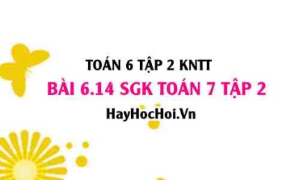 Bài 6.14 SGK Toán 7 tập 2 Kết nối tri thức